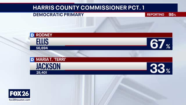 Winners, losers and ramifications of the Harris County primaries - What's Your Point?