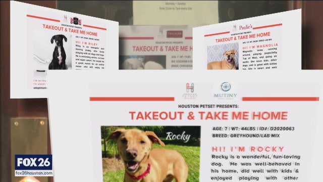 Restaurants, non-profit pair up to help homeless pets with Takeout & Take Me Home program