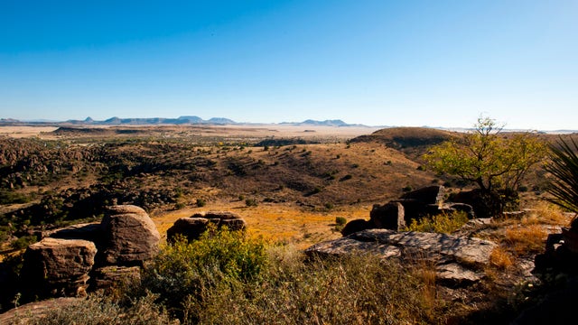 Governor orders temporary closure of Texas state parks and historic sites