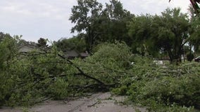 Severe weather tears down trees, damages property Saturday morning