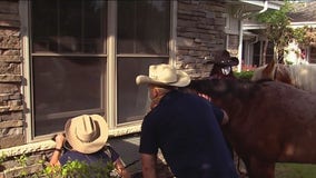 Horses help brighten the life of a local grandmother before Mother’s Day