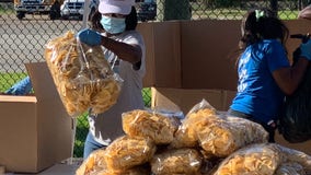 Houston ISD to launch curbside summer meals program June 1