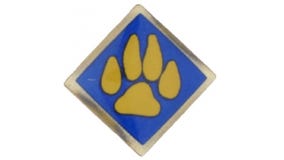 Boy Scouts of America cub scout activity pins recalled due to excessive lead levels