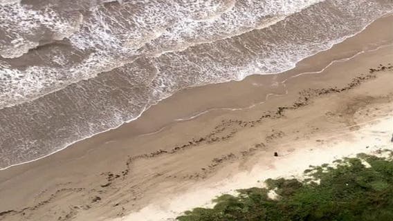 Monitoring bacteria along Texas beaches