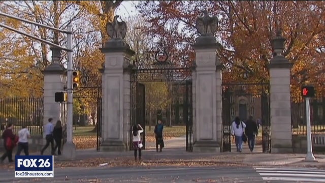 New ICE policy threatens foreign students with deportation - What's Your Point?