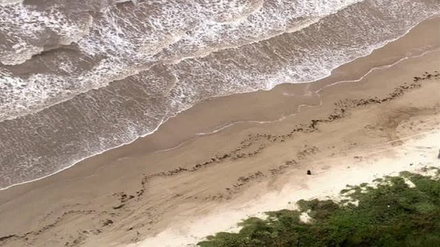 Monitoring bacteria along Texas beaches