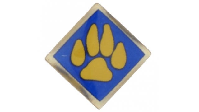 Boy Scouts of America cub scout activity pins recalled due to excessive lead levels