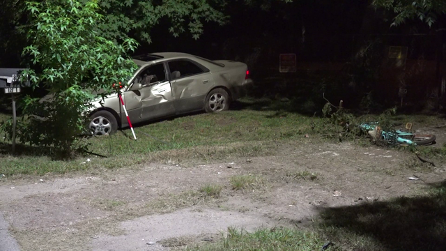Harris County D.A.: Woman feeding stray dogs killed by intoxicated driver