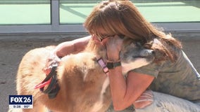 Spring woman's mission to keep her beloved dog from being euthanized catches fire on social media