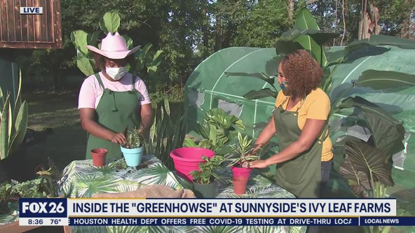 Local woman starts a farm to feed her community