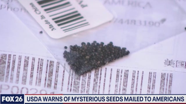 Mysterious seeds from China, a prank, an internet scam or an act of agricultural bio-terrorism?
