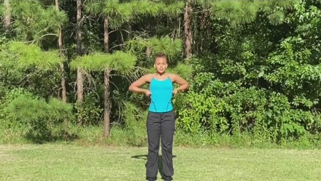 The Bitter Earth Project: Virtual stage made by Houstonian for dancers around the world