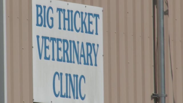 Two dogs die from routine procedures at the same New Caney clinic on the same day