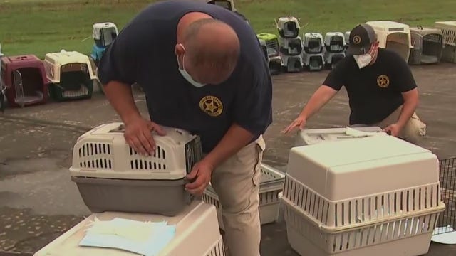 Texas animal shelters transporting animals to East Coast ahead of Hurricane Laura
