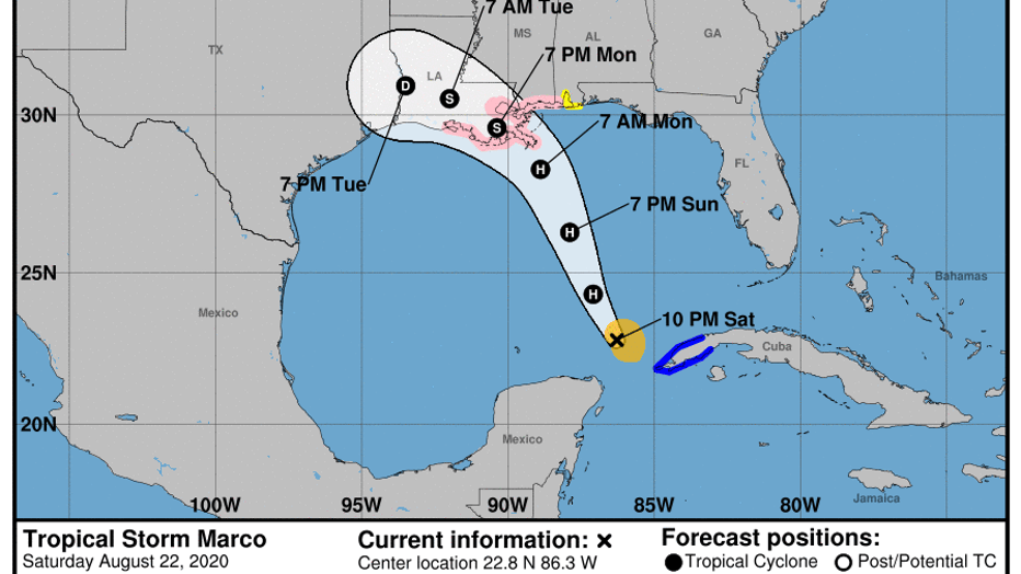 Hurricane Marco forms in the Gulf of Mexico