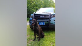 Police K9 tracks down missing Kindergartner lost in Maine woods