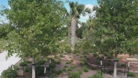 All new Houston Botanic Garden to open Friday