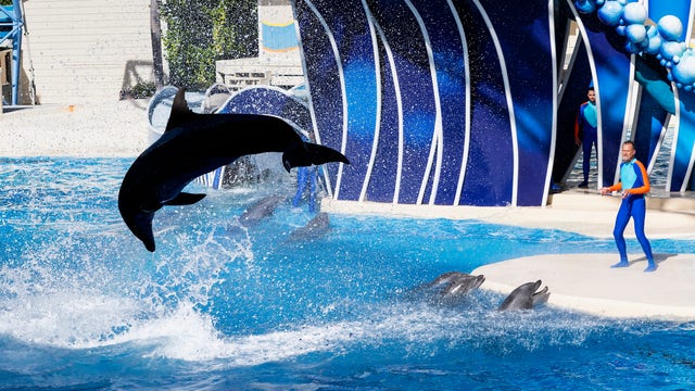 SeaWorld is permanently laying off some of its employees