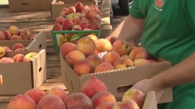 New app personalizes product recall updates for consumers