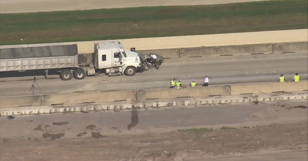 Man struck and killed on Southwest Freeway after stopping to save dog ...