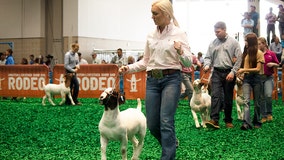 Youth to be focus of 2021 Houston Livestock Show and Rodeo