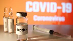 Britain prepares to rollout coronavirus vaccine