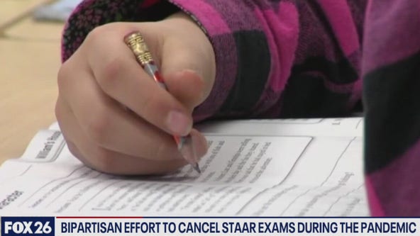 To test or not to test