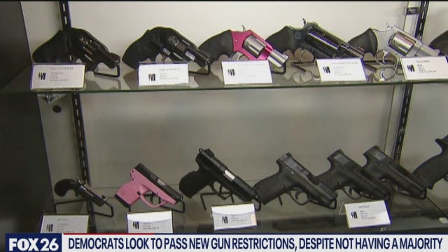 Gun reform advocates push bills for 2021 legislation - What's Your Point?