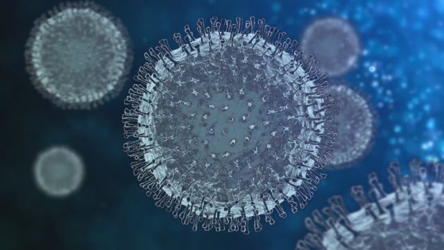 New antibody treatment treats the sickest of COVID-19 patients