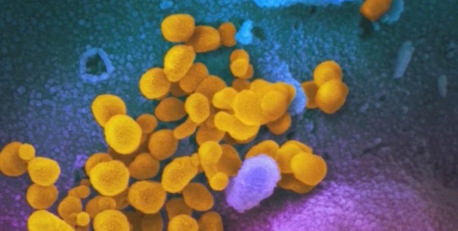 Preparations already underway for COVID-19 vaccine distribution in Houston