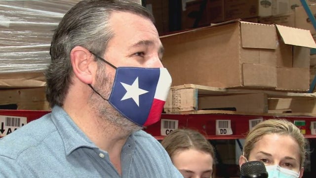 Sen. Ted Cruz, Rep. Al Green share opinions on COVID relief bill