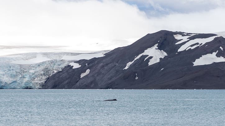 Coronavirus reaches Antarctica, bringing pandemic to last untouched continent - Vimarsana News