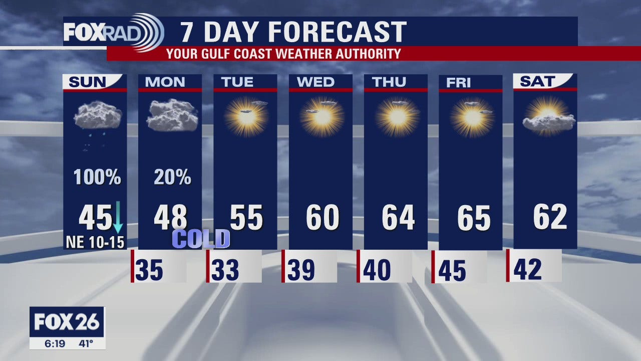 Houston-Area Weather Forecast January 10th