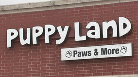 Some customers accuse Stafford pet store of selling sick, dying puppies