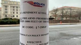 DC says no guns allowed during MAGA election protest