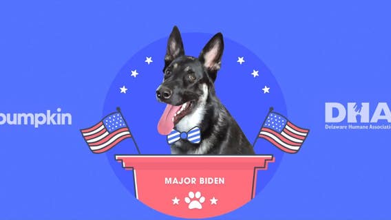 Joe Biden’s dog Major, adopted from shelter, gets own 'indoguration' with performance by Josh Groban