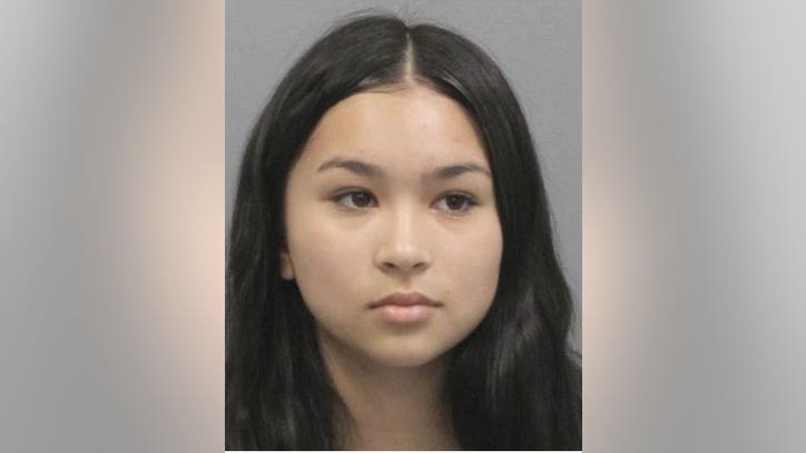 HCSO searching for missing 14-year-old girl last seen in NW Houston - Vimarsana News