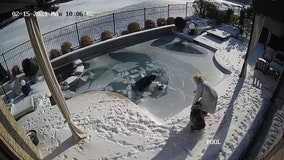 ‘Watch your pets’: Man plunges into frozen pool to rescue dog who fell through ice