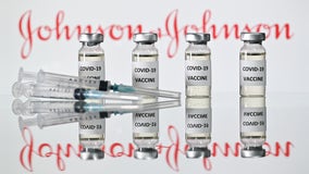 Johnson & Johnson's single-shot COVID-19 vaccine endorsed by FDA expert panel