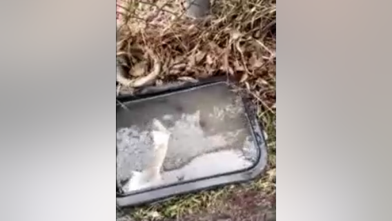 FEMA encourages denied storm damage applicants to provide more information