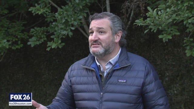 Senator Ted Cruz and the trip to Mexico - What's Your Point?