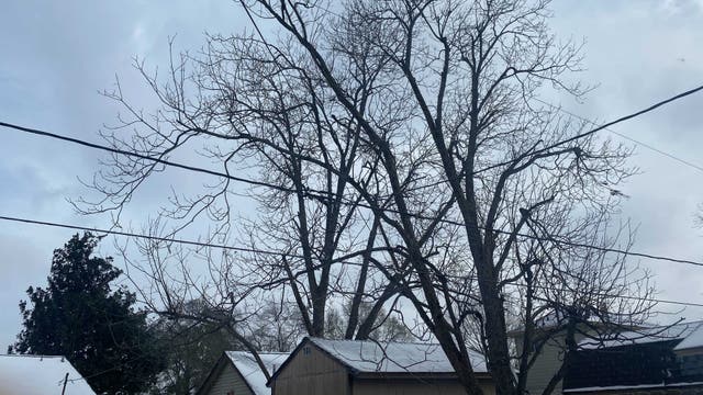 Mayor, County Judge establish Houston-Harris County Winter Storm Relief Fund