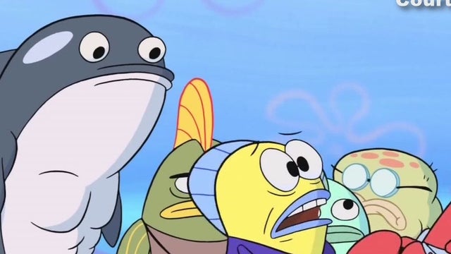 SpongeBob is coming to Houston