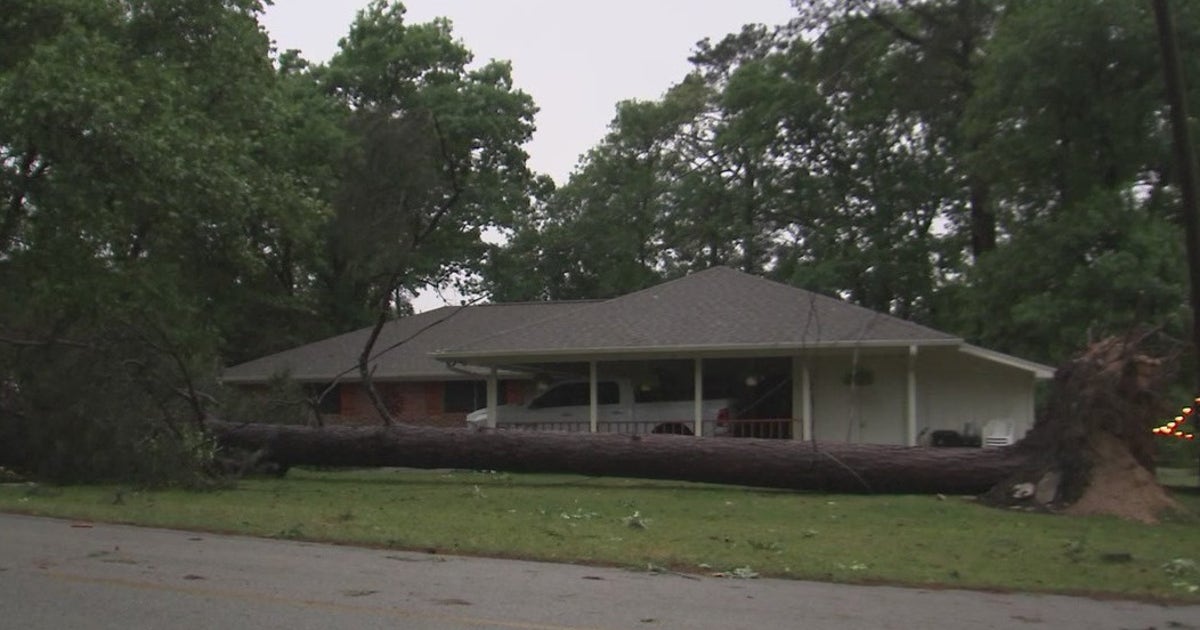 Storm takes down trees, power lines in Montgomery County | FOX 26 Houston