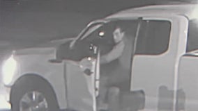 Law officers in Montgomery Co. trying to identify man seen violently throwing a cat into his truck