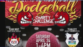 Houston Celebrity Ultimate Dodgeball Charity Challenge takes place this weekend