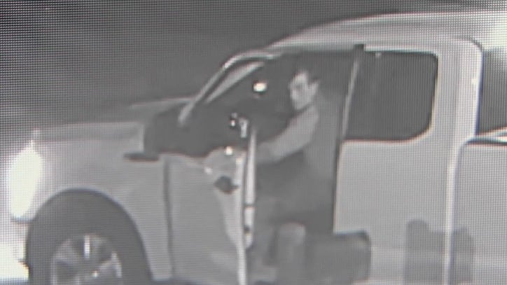 Law officers in Montgomery Co. trying to identify man seen violently throwing a cat into his truck - Vimarsana News