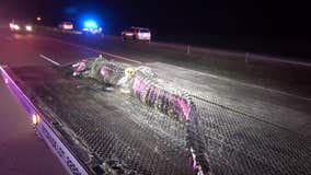 Driver hits 10-foot, 300-pound gator on SH 99 in Montgomery County