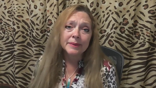 Houston's 'roaming tiger' still missing, Carole Baskin from "Tiger King" responds