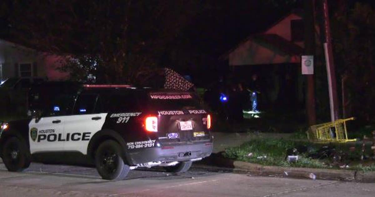 Homeowner pistol whipped, another man shot during robbery in northeast ...